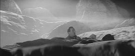 喜馬拉雅山雪怪 圖4