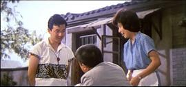 金鞋 圖5