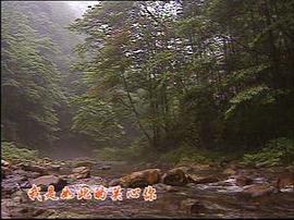 相思年代 圖7