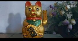 鄉(xiāng)愿的反義詞 圖3