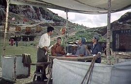 戰(zhàn)地黃花 圖1