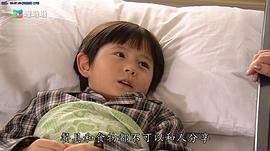 载得有情人 图3