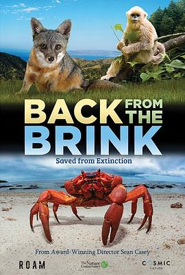 brink 圖4