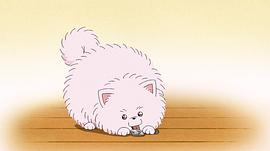 名偵探柯南 犯人犯澤先生 圖7