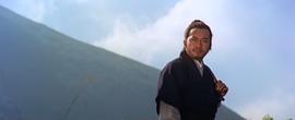 金毛獅王 圖1