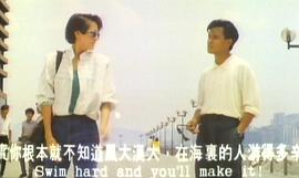 是偶然嗎電視劇全集免費(fèi)播放 圖9