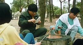 龍鳳智多星 圖6