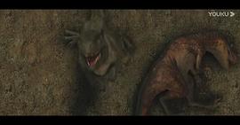 夺命巨鳄电影免费观看全集 图2
