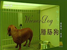 罗纳威犬 电影 图6