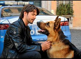 警犬萊克斯 圖1
