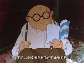當(dāng)風(fēng)吹起的時(shí)候 圖4
