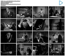 黑色星期五 圖4