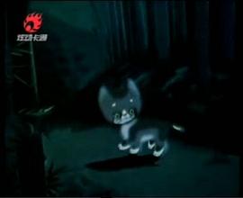 小白鴿 圖10