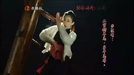 咏春电视剧免费观看全集 图1