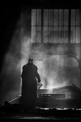 蝙蝠侠大战超人：正义黎明 图8