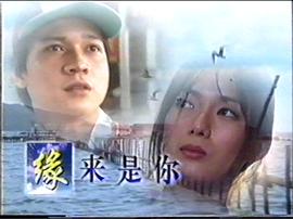 緣來是你 圖9