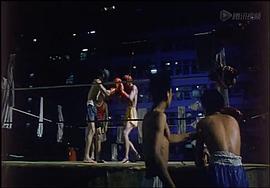 拳王 圖6