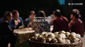 風(fēng)味原產(chǎn)地·甘肅 圖8