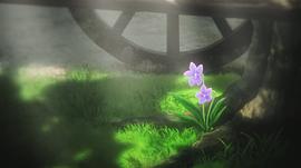 紫罗兰永恒花园第二季 图3