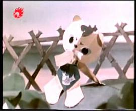 一棵大白菜 圖7