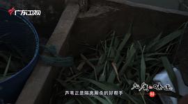 老廣的味道 第一季 圖4