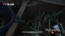 广东卫视美食纪录片 图10