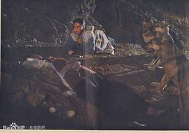 电影鬼屋1975中国的 图2