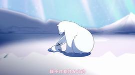 北极熊的动画短片 图8
