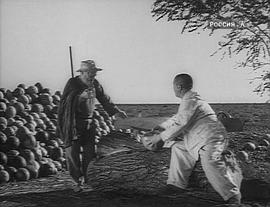拖拉機手 圖2