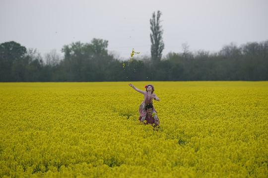 2024領(lǐng)航電視直播軟件下載站
