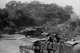 沙漠之狐 圖3