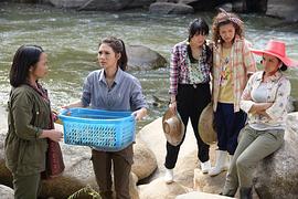 綠野心蹤影視大全 圖9