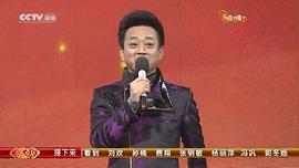2015中央电视台春节晚会 图3