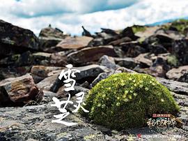秘境神草 第二季 圖7
