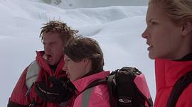 极地雪橇犬电影 图8