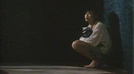 天臺(tái)的月光 圖5