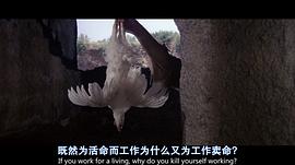 黄金三镖客 图6