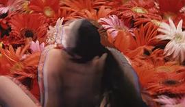 白日夢(mèng)2 圖3