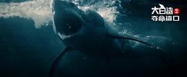 大浪白鲨 电影 图6