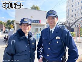 双面骗子 虚假警察 第一季 图4