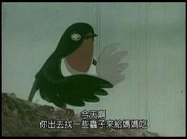 小燕子 圖2