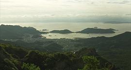 第八日的蟬寓意 圖7