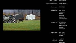阿拉斯加的棕熊免费观看 图5