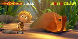 蜂巢动画片 图3