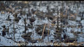 掬水月在手 圖3