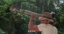 中国鳄鱼的电影 图5