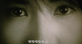 紅眼鏡 圖6
