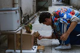 麻甩媽咪 圖2