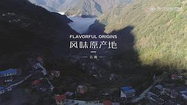 風(fēng)味原產(chǎn)地云南配音 圖2