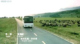 吐魯番情歌 圖10